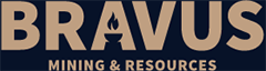 Bravus Logo Image
