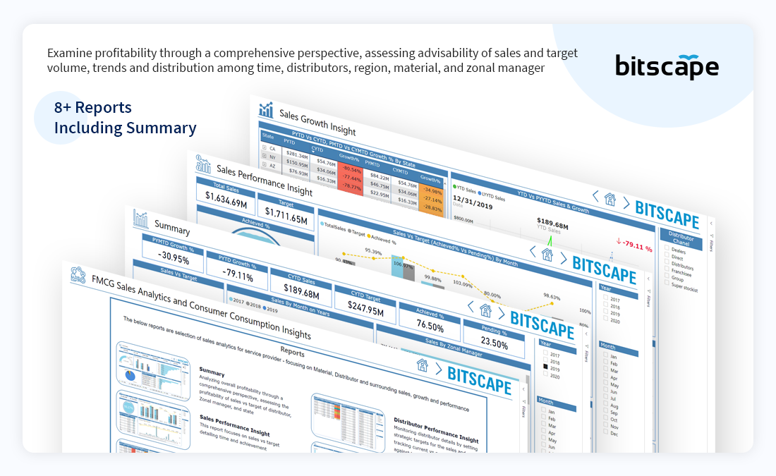 FMCG Sales Analytics Reports Summary